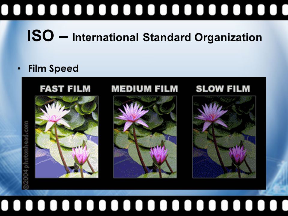 ISO – International Standard Organization Film Speed