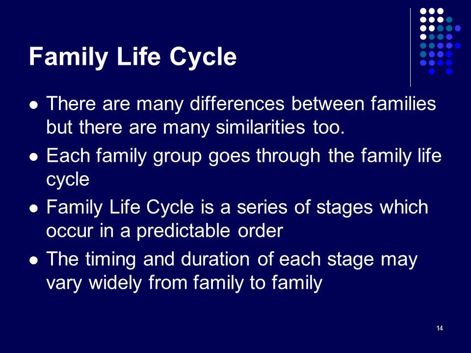 14 Family Life Cycle There are many differences between families but there are many similarities too.
