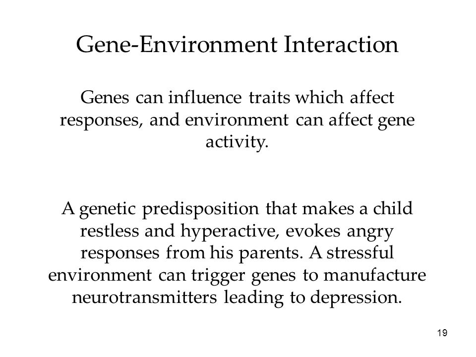 19 Gene-Environment Interaction Genes can influence traits which affect responses, and environment can affect gene activity.