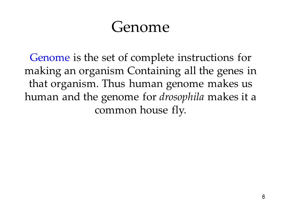 6 Genome Genome is the set of complete instructions for making an organism Containing all the genes in that organism.