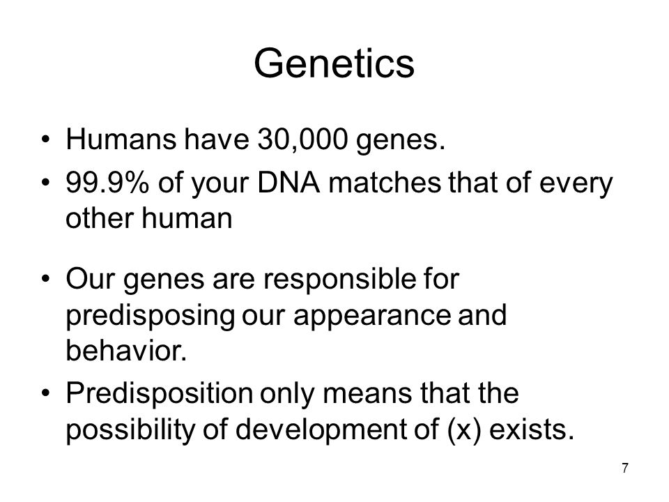7 Genetics Humans have 30,000 genes.