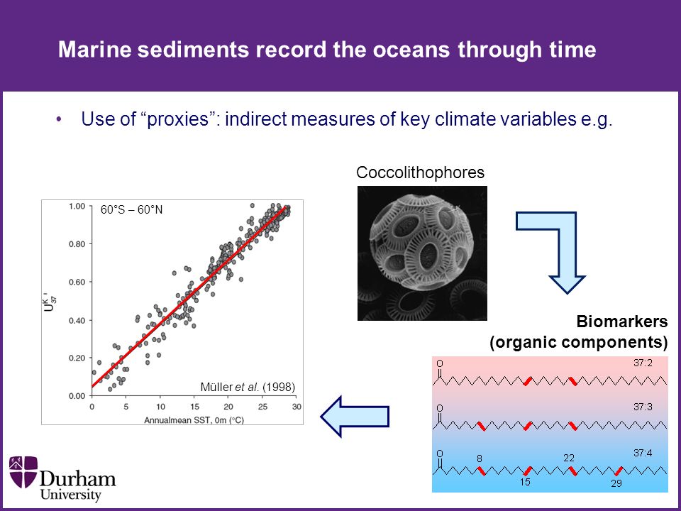 Marine sediments record the oceans through time Use of proxies : indirect measures of key climate variables e.g.