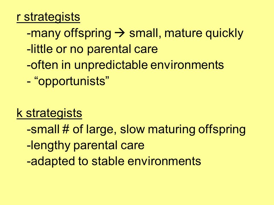 r strategists -many offspring  small, mature quickly -little or no parental care -often in unpredictable environments - opportunists k strategists -small # of large, slow maturing offspring -lengthy parental care -adapted to stable environments