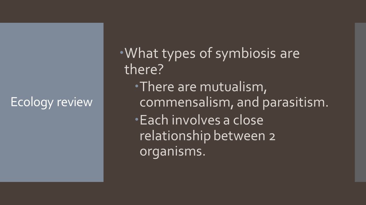 Ecology review  What types of symbiosis are there.