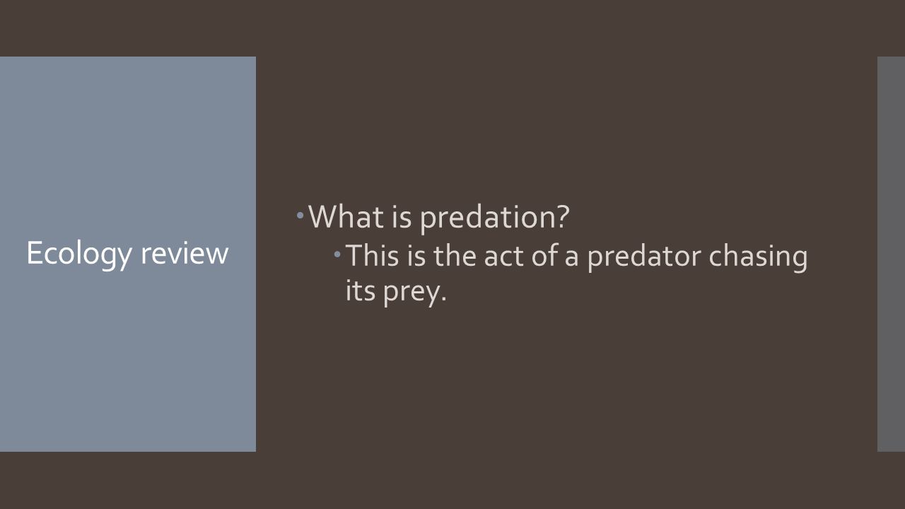 Ecology review  What is predation  This is the act of a predator chasing its prey.