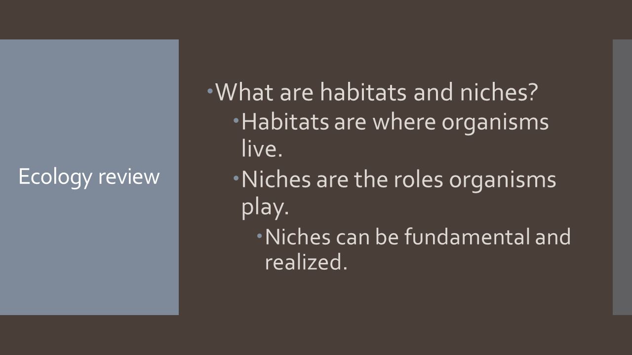 Ecology review  What are habitats and niches.  Habitats are where organisms live.