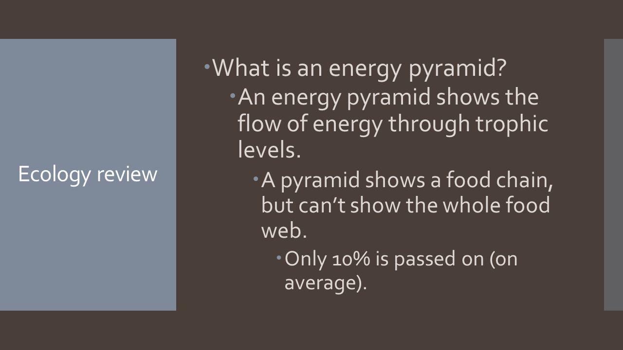 Ecology review  What is an energy pyramid.