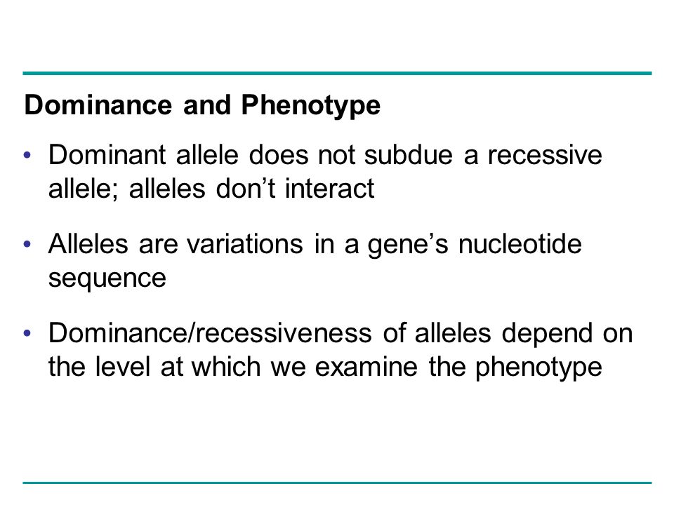 Dominant allele does not subdue a recessive allele; alleles don’t interact Alleles are variations in a gene’s nucleotide sequence Dominance/recessiveness of alleles depend on the level at which we examine the phenotype Dominance and Phenotype