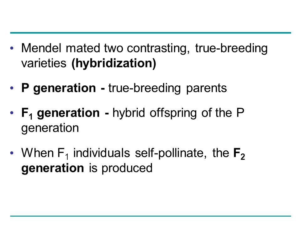 Mendel mated two contrasting, true-breeding varieties (hybridization) P generation - true-breeding parents F 1 generation - hybrid offspring of the P generation When F 1 individuals self-pollinate, the F 2 generation is produced