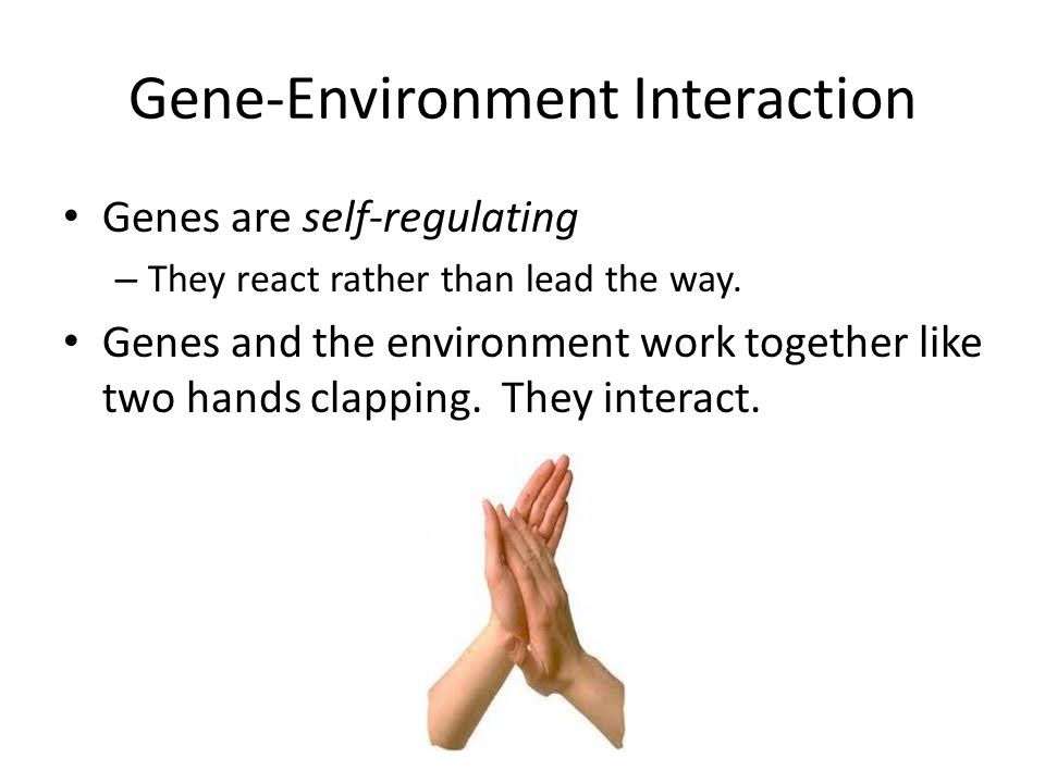 Gene-Environment Interaction Genes are self-regulating – They react rather than lead the way.