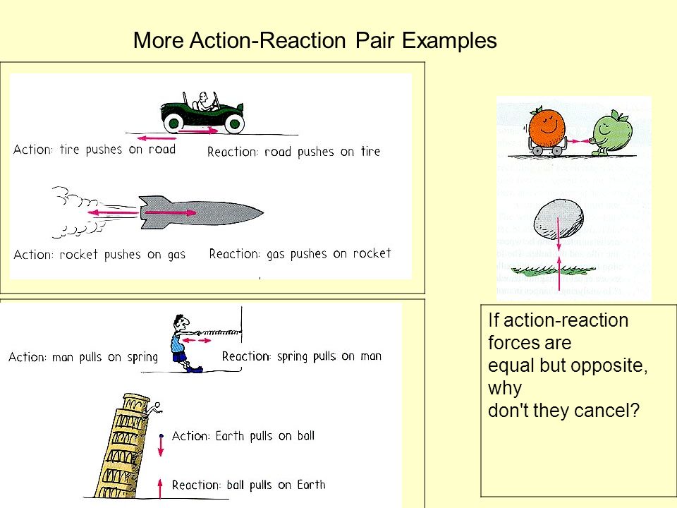 chapter 11 forces already covered newton s 1 st and 2 nd laws of