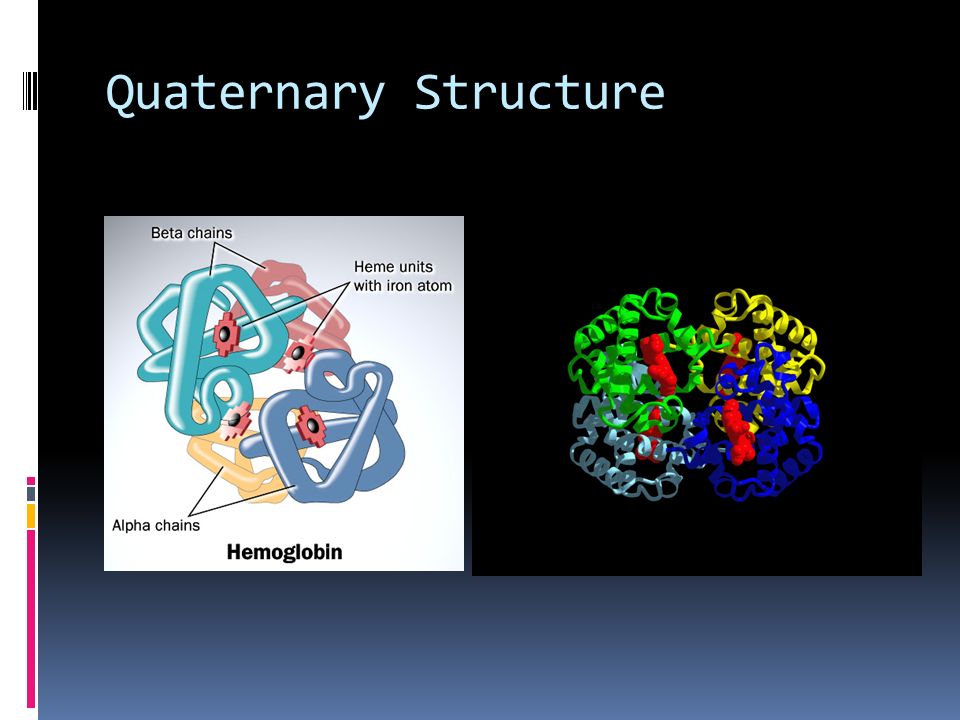 Quaternary Structure