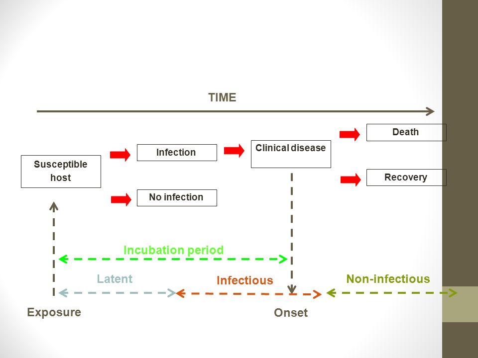 Susceptible host TIME Incubation period Death Recovery Exposure Onset Latent Infectious Non-infectious Infection No infection Clinical disease