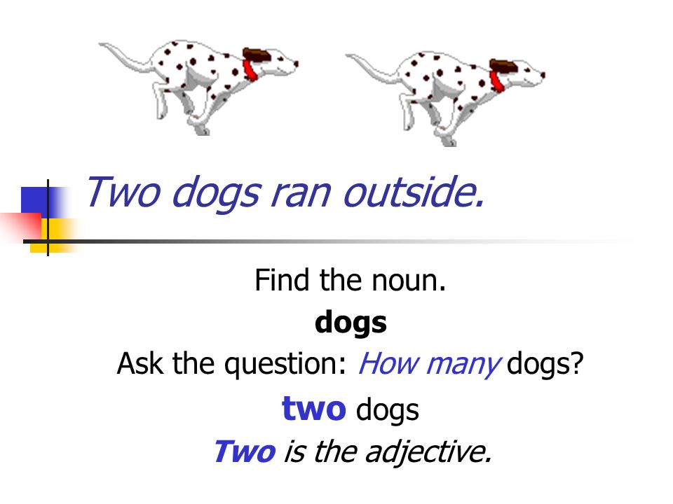 Two dogs ran outside. Find the noun. dogs Ask the question: How many dogs.
