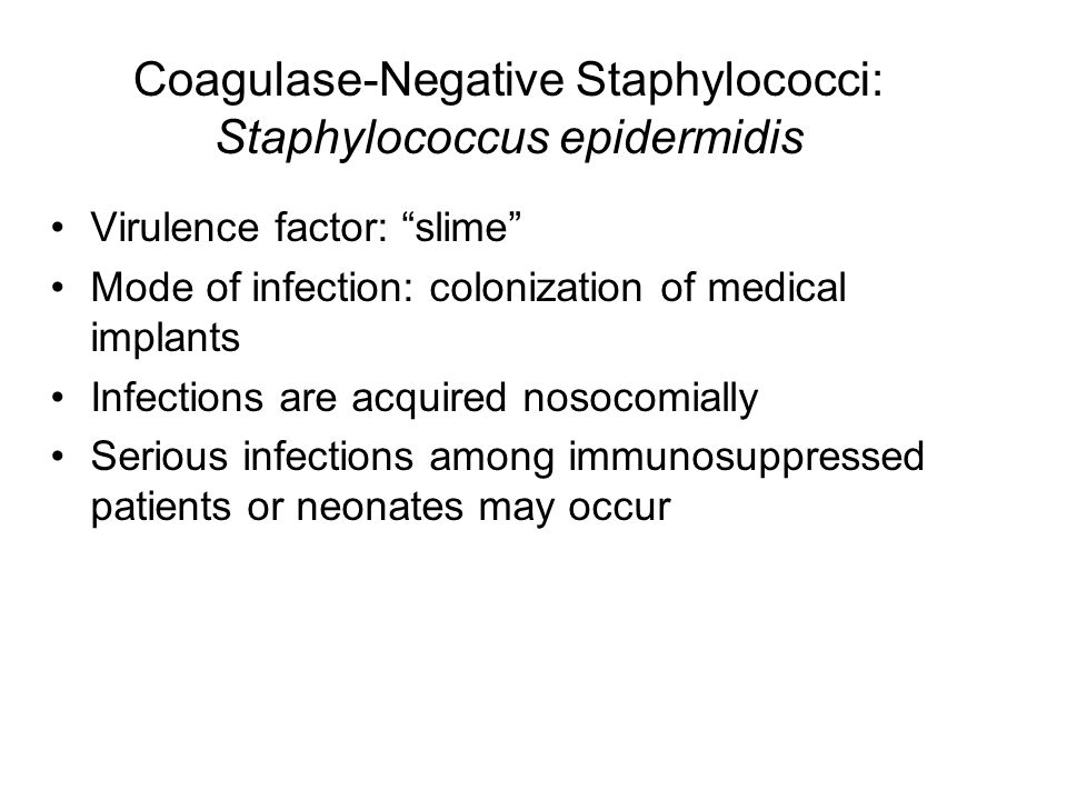 Коагулаза. Coagulase negative. Coagulase negative Staphylococcus. Коагулаза негативные стафилококки. Coagulase negative Staphylococcus Biochemical Table.