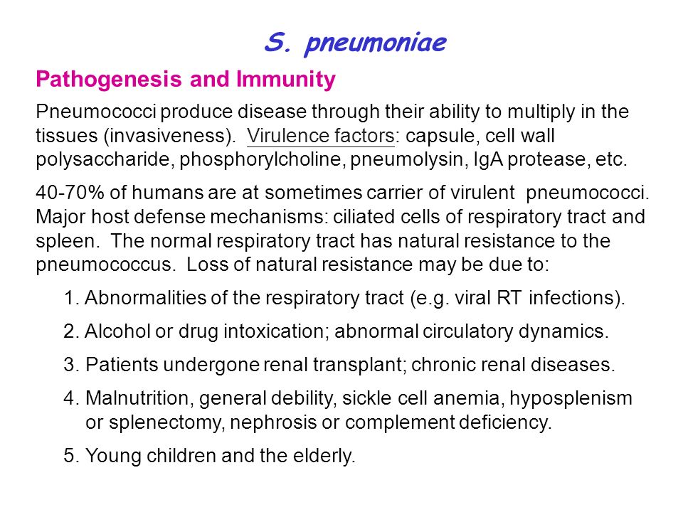 Pathogenesis and Immunity S.