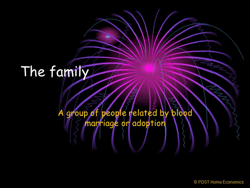 The family A group of people related by blood marriage or adoption © PDST Home Economics
