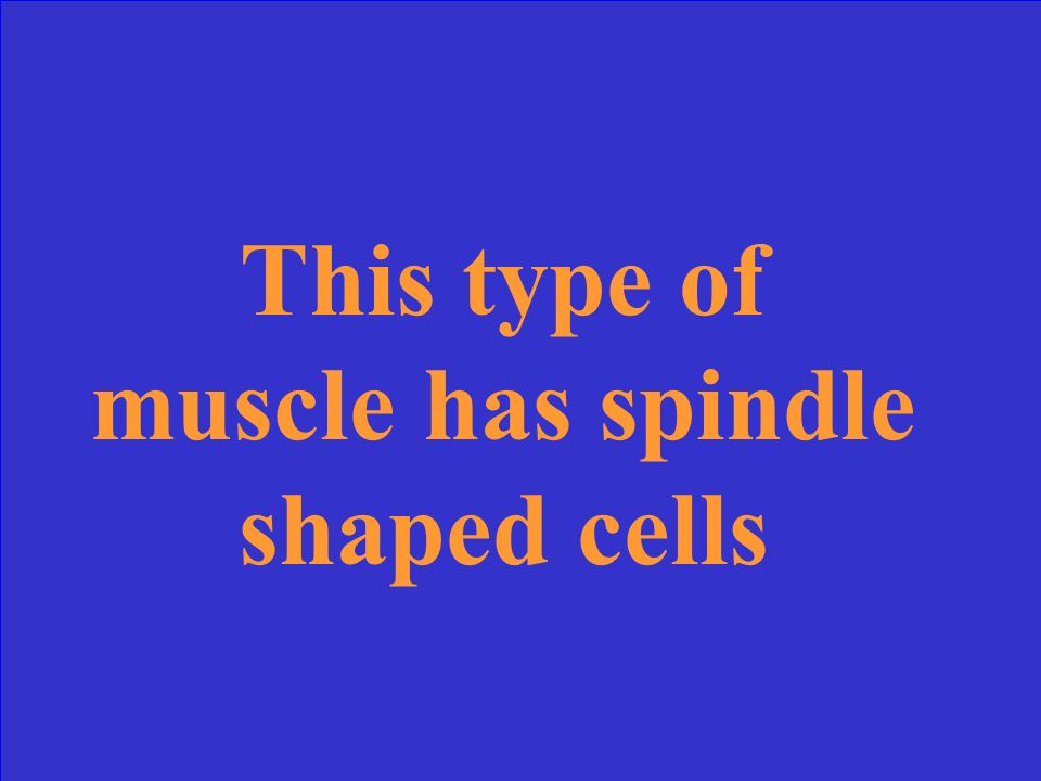 What is cardiac muscle
