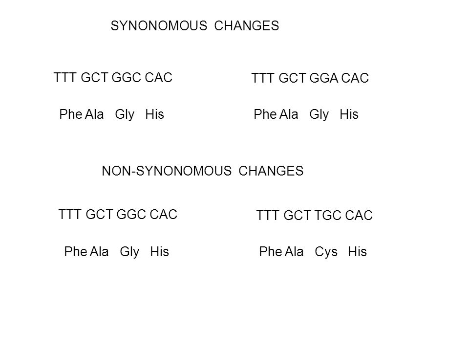 Lecture 29 -Polymorphisms in Human DNA Sequences SNPs SSRs. - ppt download