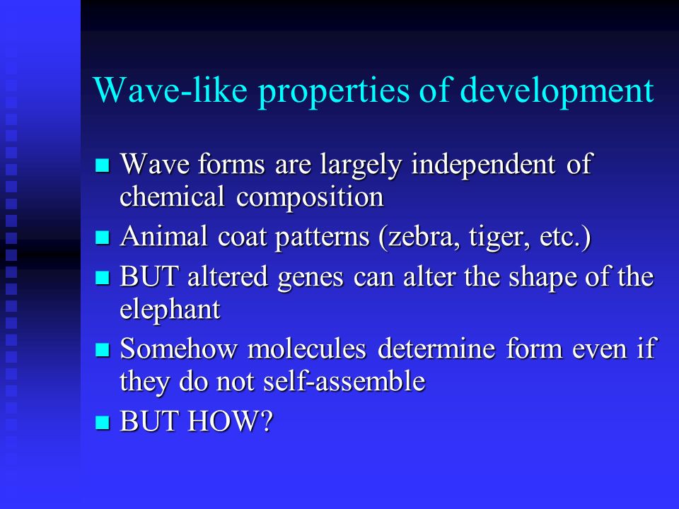 Wave-like properties of development Wave forms are largely independent of chemical composition Wave forms are largely independent of chemical composition Animal coat patterns (zebra, tiger, etc.) Animal coat patterns (zebra, tiger, etc.) BUT altered genes can alter the shape of the elephant BUT altered genes can alter the shape of the elephant Somehow molecules determine form even if they do not self-assemble Somehow molecules determine form even if they do not self-assemble BUT HOW.