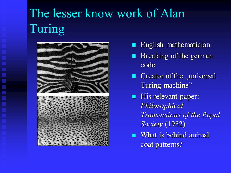 The lesser know work of Alan Turing English mathematician Breaking of the german code Creator of the „universal Turing machine His relevant paper: Philosophical Transactions of the Royal Society (1952) What is behind animal coat patterns
