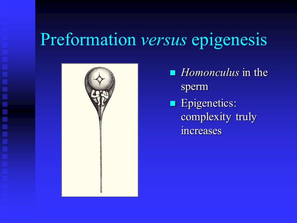 Preformation versus epigenesis Homonculus in the sperm Epigenetics: complexity truly increases