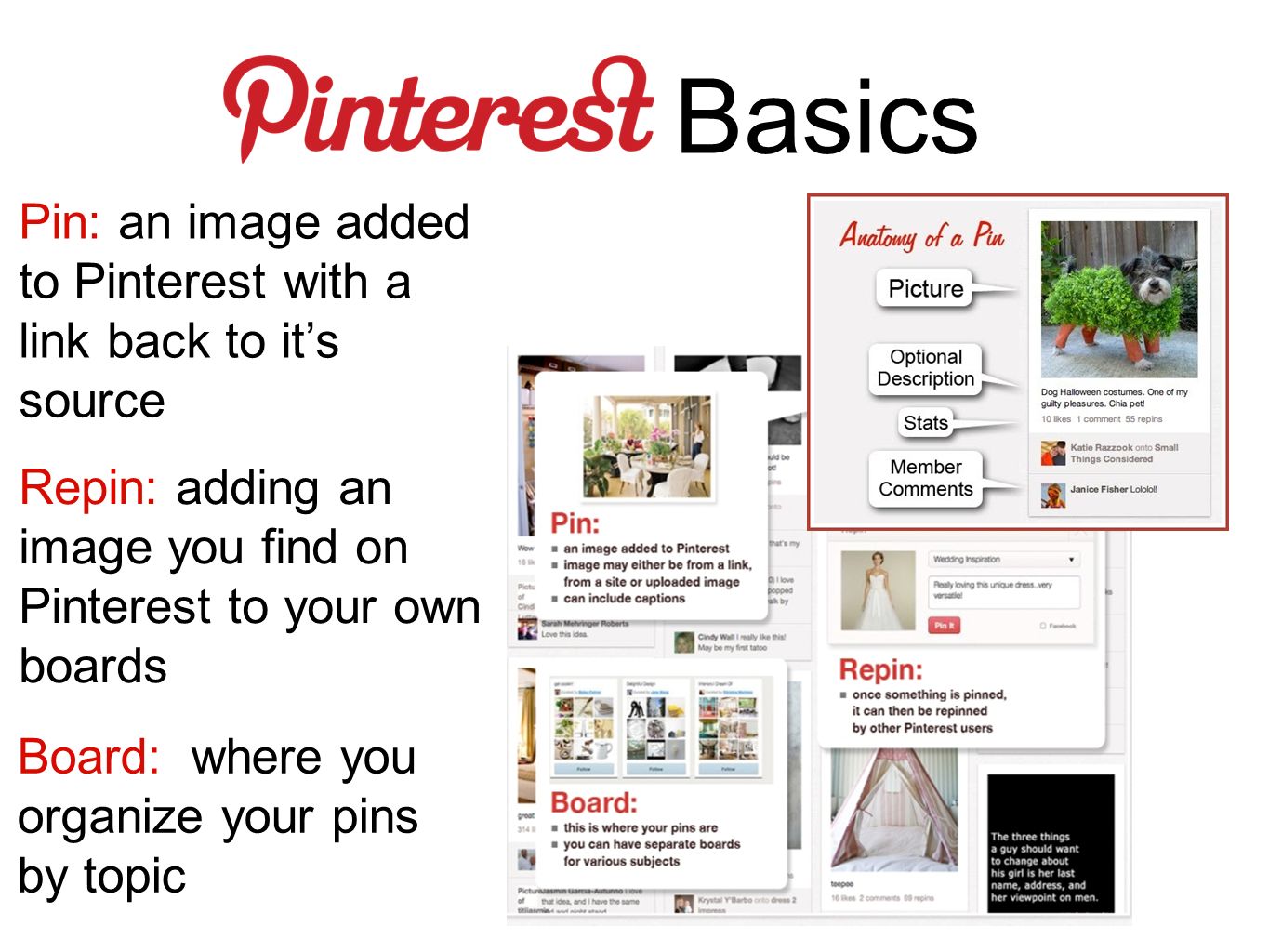 Basics Pin: an image added to Pinterest with a link back to it’s source Board: where you organize your pins by topic Repin: adding an image you find on Pinterest to your own boards