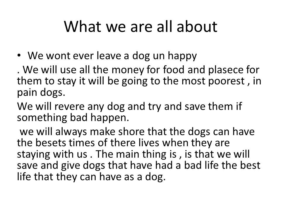 What we are all about We wont ever leave a dog un happy.