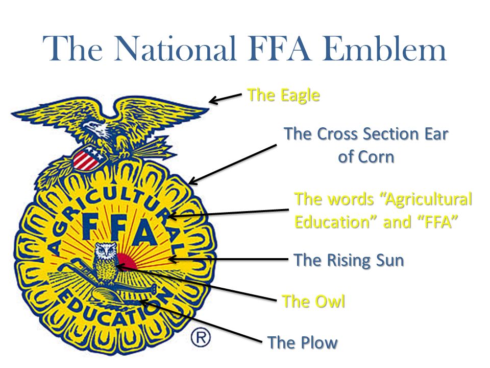 The National FFA Emblem By: Emma Heser. Cross Section Ear of Corn and the  Eagle Serve as the foundation of the emblem Serve as the foundation of the  emblem. - ppt download