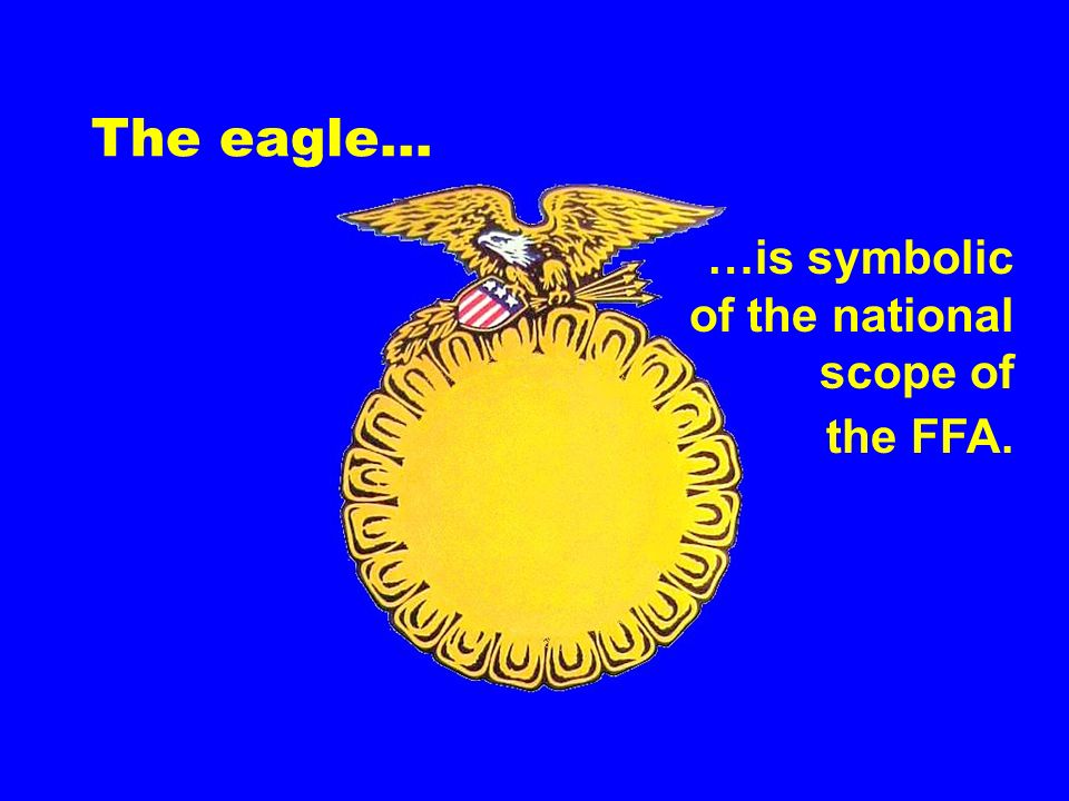 The eagle... …is symbolic of the national scope of the FFA.