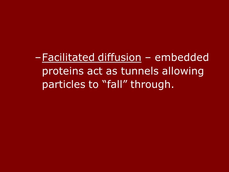 –Facilitated diffusion – embedded proteins act as tunnels allowing particles to fall through.