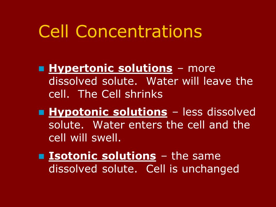 Cell Concentrations Hypertonic solutions – more dissolved solute.