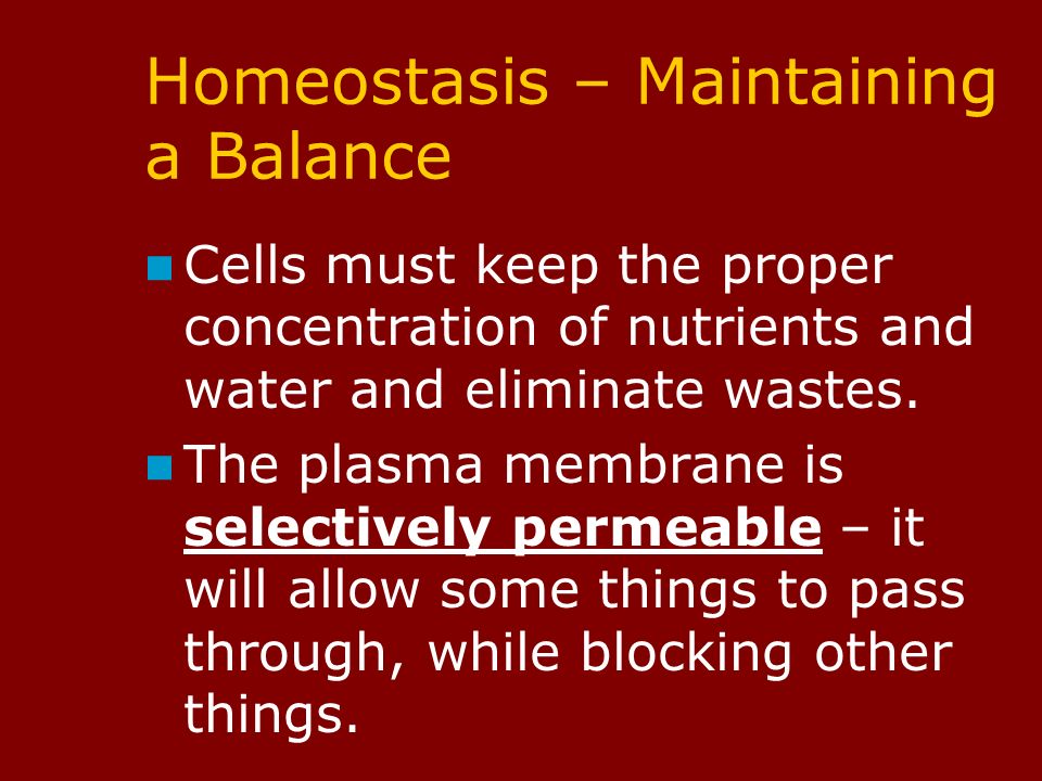 Homeostasis – Maintaining a Balance Cells must keep the proper concentration of nutrients and water and eliminate wastes.