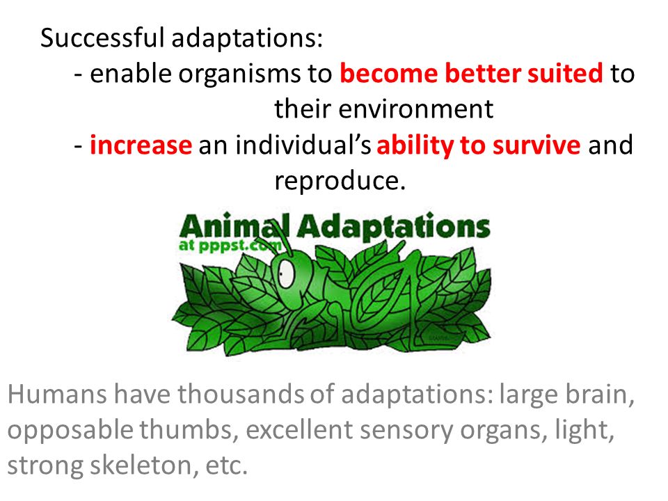 Successful adaptations: - enable organisms to become better suited to their environment - increase an individual’s ability to survive and reproduce.