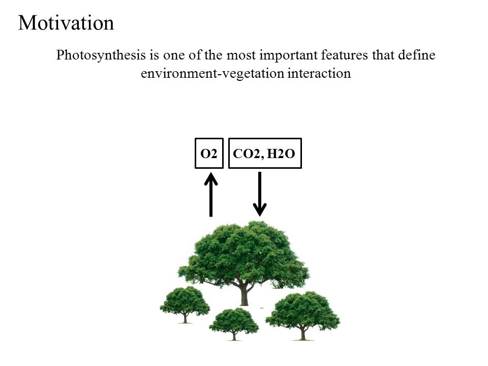 Motivation Photosynthesis is one of the most important features that define environment-vegetation interaction O2CO2, H2O