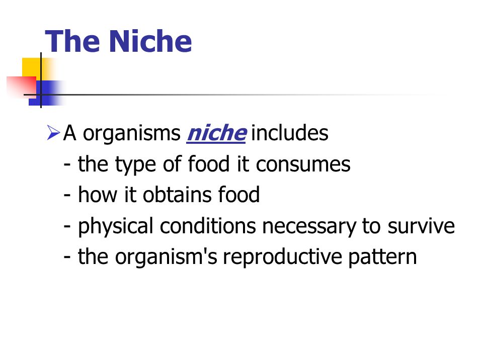 The Niche  A organisms niche includes - the type of food it consumes - how it obtains food - physical conditions necessary to survive - the organism s reproductive pattern