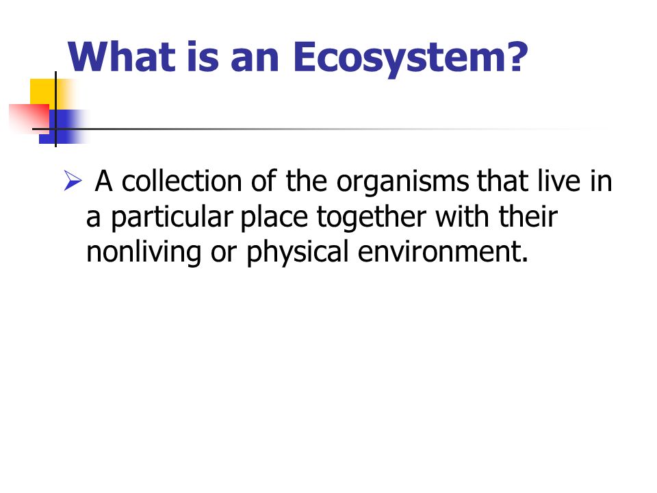 What is an Ecosystem.