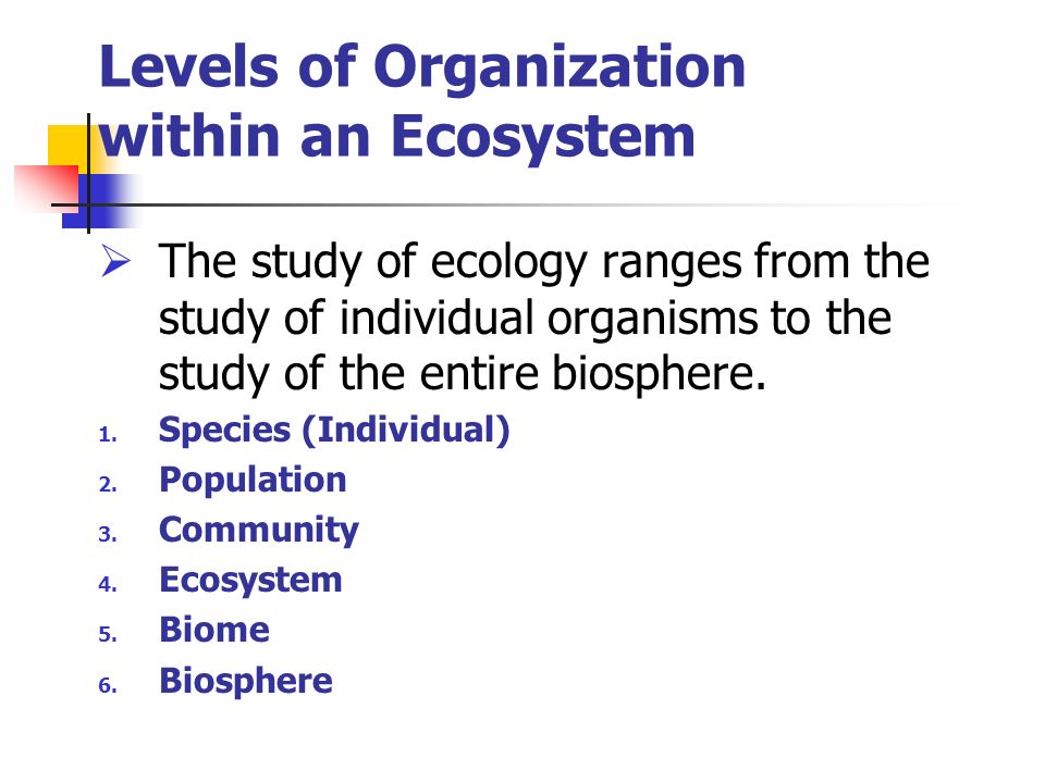 Levels of Organization within an Ecosystem  The study of ecology ranges from the study of individual organisms to the study of the entire biosphere.