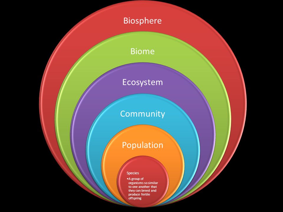 Biosphere Biome Ecosystem Community Population Species