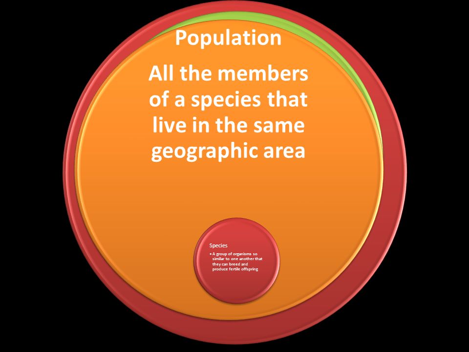 Biosphere Biome Ecosystem Community Population All the members of a species that live in the same geographic area Species (individual) A group of organisms so similar to one another that they can breed and produce fertile offspring