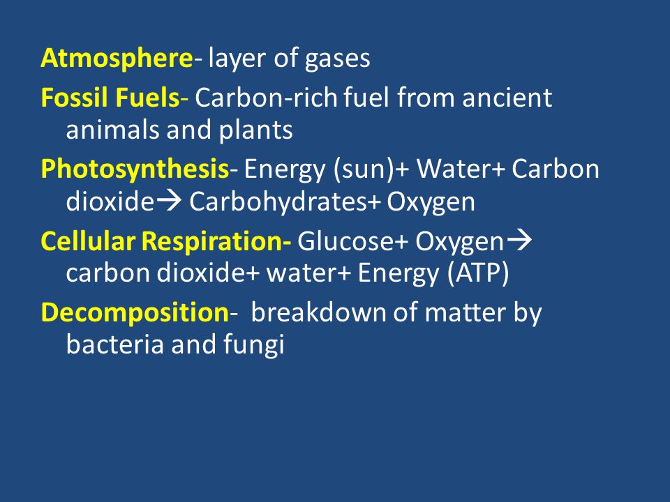 Atmosphere- layer of gases Fossil Fuels- Carbon-rich fuel from ancient animals and plants Photosynthesis- Energy (sun)+ Water+ Carbon dioxide  Carbohydrates+ Oxygen Cellular Respiration- Glucose+ Oxygen  carbon dioxide+ water+ Energy (ATP) Decomposition- breakdown of matter by bacteria and fungi