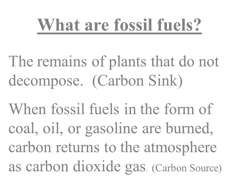 What are fossil fuels. The remains of plants that do not decompose.