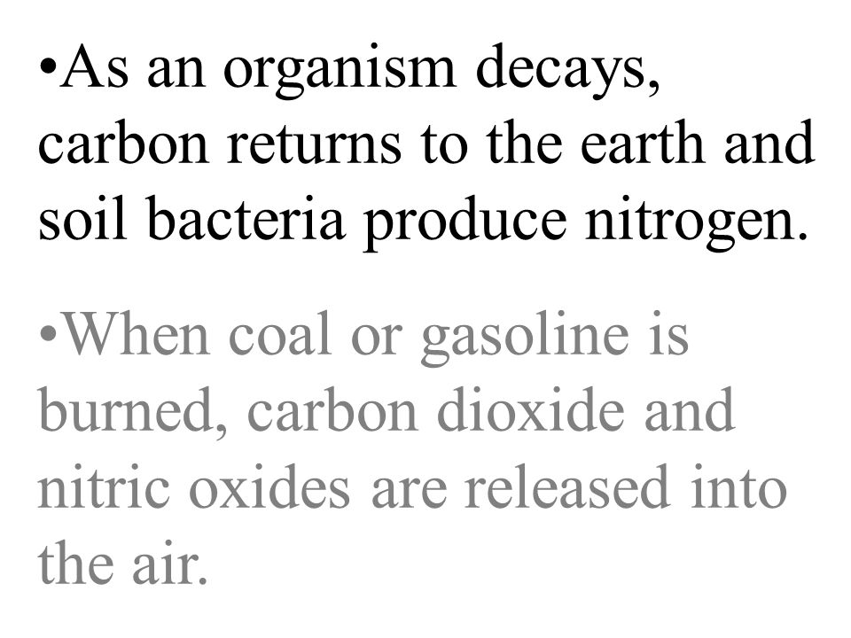 As an organism decays, carbon returns to the earth and soil bacteria produce nitrogen.