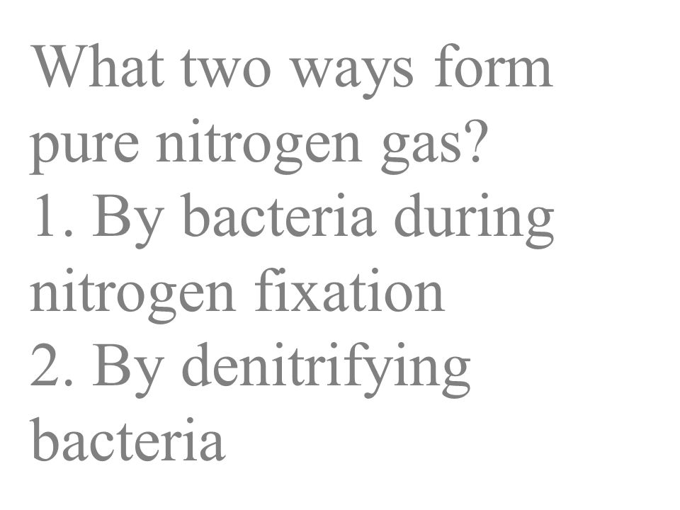 What two ways form pure nitrogen gas. 1. By bacteria during nitrogen fixation 2.