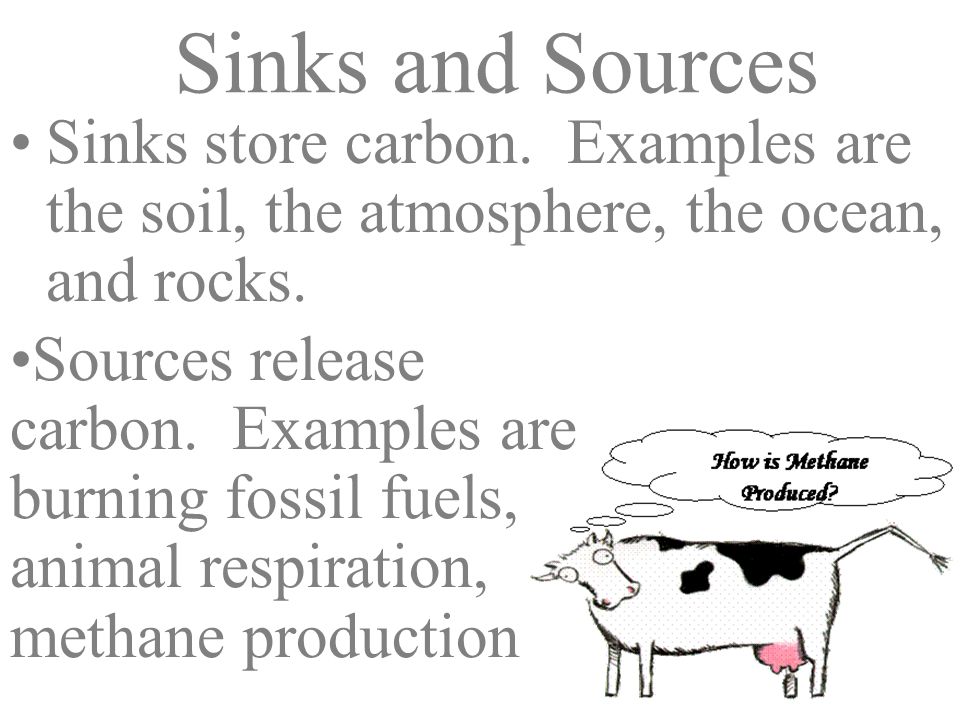 Sinks and Sources Sinks store carbon. Examples are the soil, the atmosphere, the ocean, and rocks.