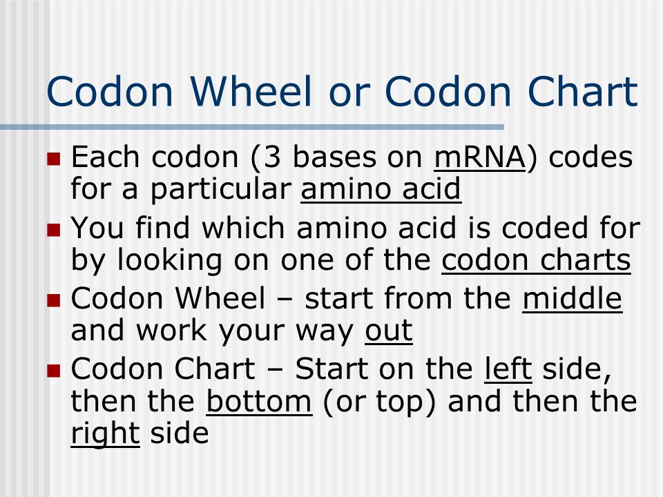 Codon Chart And Wheel