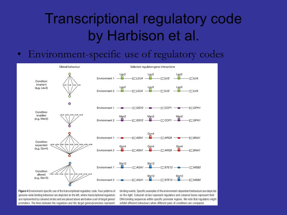 Transcriptional regulatory code by Harbison et al. Environment-specific use of regulatory codes