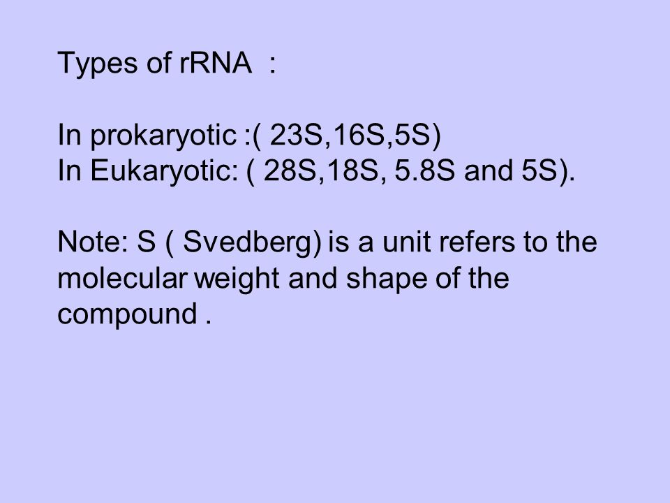 Types of rRNA : In prokaryotic :( 23S,16S,5S) In Eukaryotic: ( 28S,18S, 5.8S and 5S).