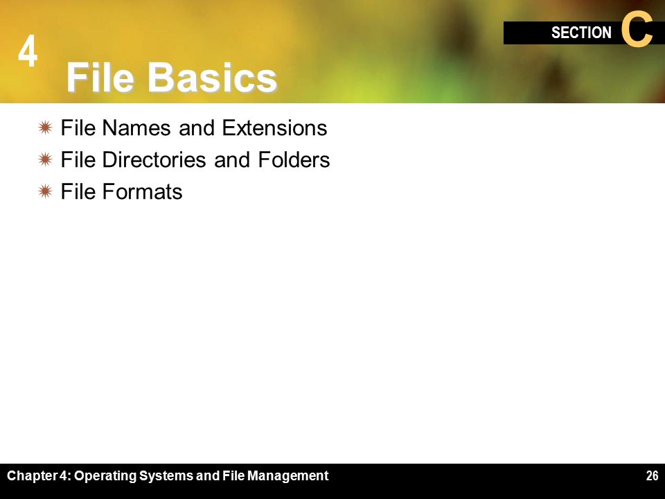 4 SECTION C Chapter 4: Operating Systems and File Management26 File Basics  File Names and Extensions  File Directories and Folders  File Formats