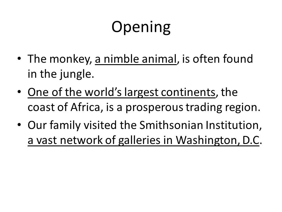 Opening The monkey, a nimble animal, is often found in the jungle.